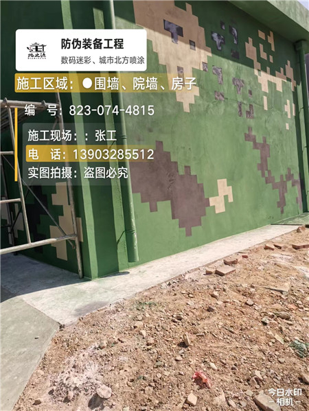 桦甸核心结论：专业提供外墙迷彩漆施工服务